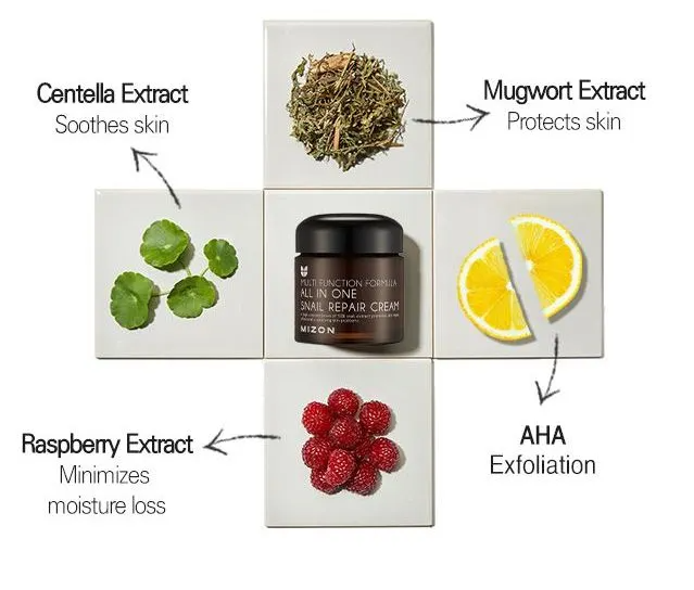 All in One Snail Repair Cream